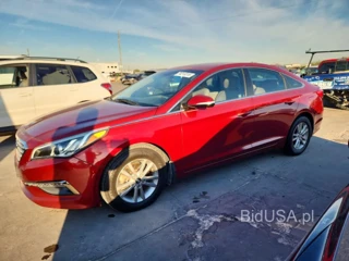 HYUNDAI SONATA ECO
