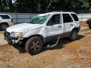 FORD ESCAPE XLT