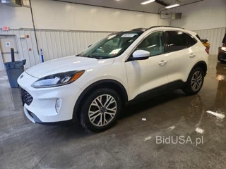 FORD ESCAPE SEL