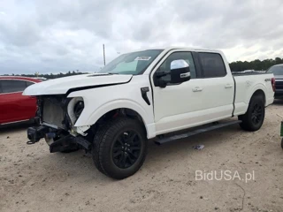 FORD F150 PLATINUM