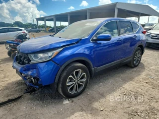 HONDA CR-V EX