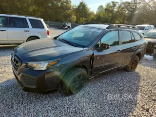 SUBARU OUTBACK WILDERNESS
