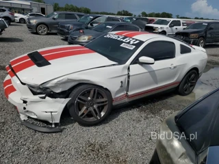 FORD MUSTANG SHELBY GT500