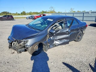 TOYOTA COROLLA L