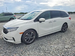 HONDA ODYSSEY ELITE