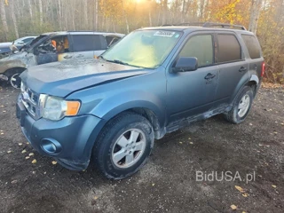 FORD ESCAPE XLT