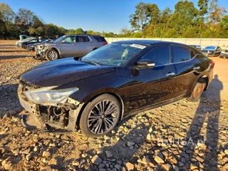 NISSAN MAXIMA PLATINUM