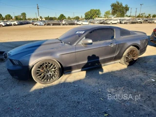 FORD MUSTANG