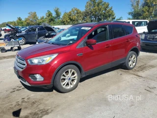 FORD ESCAPE SEL