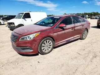 HYUNDAI SONATA SPORT