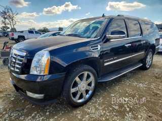 CADILLAC ESCALADE ESV LUXURY