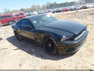 FORD FORD MUSTANG V6