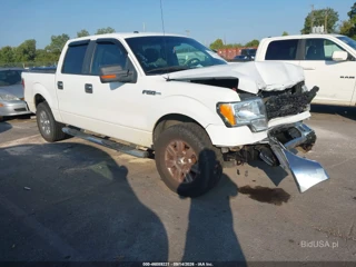 FORD FORD F-150 XL/XLT