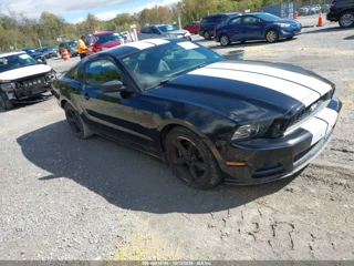FORD FORD MUSTANG V6