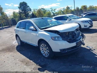 LINCOLN LINCOLN MKX