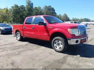 FORD FORD F-150 FX2 SPORT/HARLEY-DAVIDSON/KING RANCH/LARIAT/PLATINUM/XL/XLT