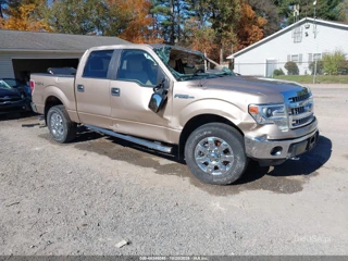 FORD FORD F-150 XLT
