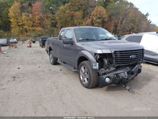 FORD FORD F-150 STX