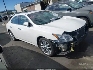 NISSAN NISSAN MAXIMA 3.5 SV
