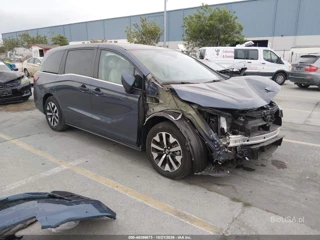 HONDA HONDA ODYSSEY EX-L