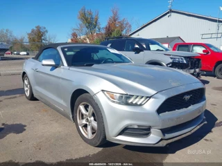 FORD FORD MUSTANG V6