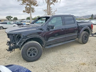 FORD F150 RAPTOR