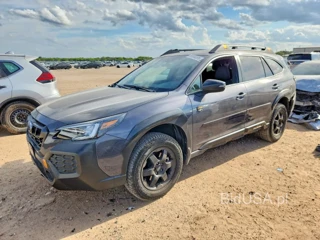 SUBARU OUTBACK WILDERNESS