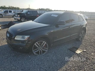 AUDI SQ5 PREMIUM PLUS