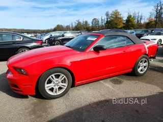 FORD MUSTANG