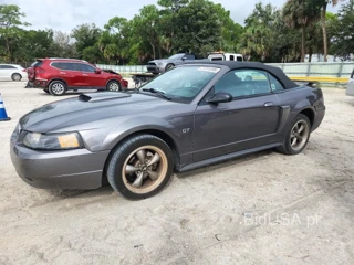 FORD MUSTANG GT
