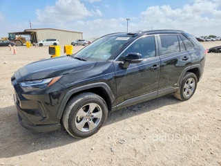 TOYOTA RAV4 HYBRID XLE