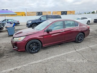 HONDA ACCORD SPORT