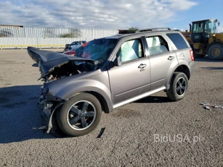 FORD ESCAPE XLT