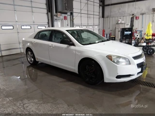 CHEVROLET CHEVROLET MALIBU LS