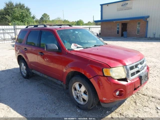 FORD FORD ESCAPE XLT