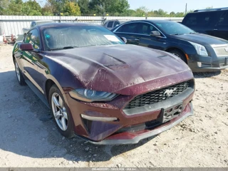 FORD FORD MUSTANG ECOBOOST