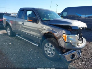 FORD FORD F-150 XLT