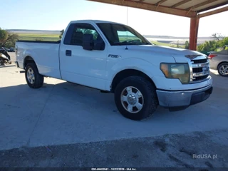 FORD FORD F-150 XL