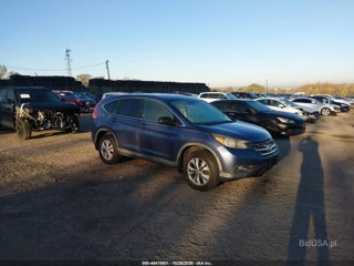 HONDA HONDA CR-V EX