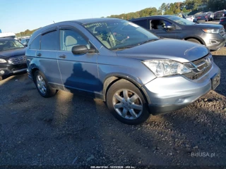 HONDA HONDA CR-V EX