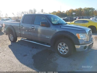 FORD FORD F-150 XLT