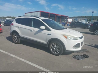 FORD FORD ESCAPE SE