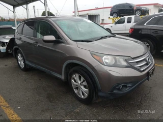 HONDA HONDA CR-V EX