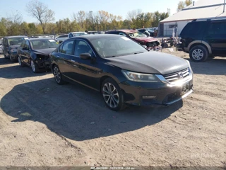 HONDA HONDA ACCORD SPORT