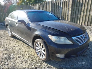 LEXUS LEXUS LS 460