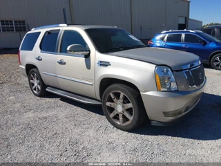 CADILLAC CADILLAC ESCALADE STANDARD
