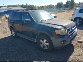 FORD FORD ESCAPE XLT