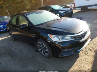 HONDA HONDA ACCORD EX-L