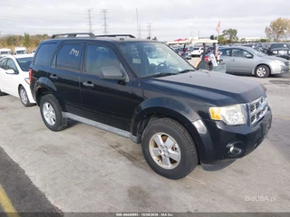 FORD FORD ESCAPE XLT