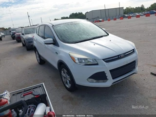 FORD FORD ESCAPE SE